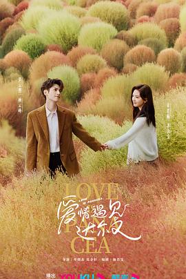 安阳专业网站优化推荐